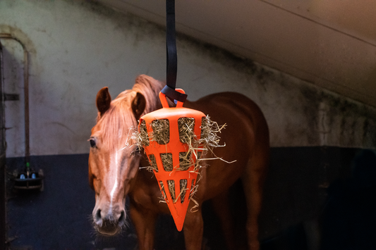 Slowfeeder Fun &amp; Flex Orange Carrot