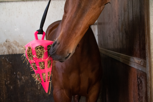 Slowfeeder Fun &amp; Flex Pink Carrot