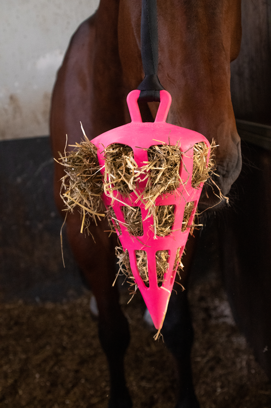 Slowfeeder Fun &amp; Flex Pink Carrot