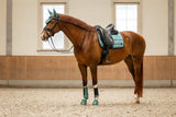 Saddle pad CLX Sea Spine
