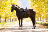 LeMieux Zadeldek Loire Classic Dressuur Damson