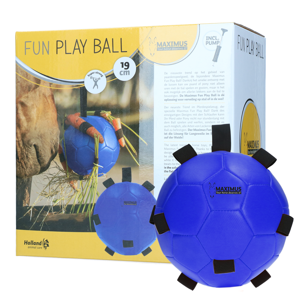Fun Play Ball Blauw