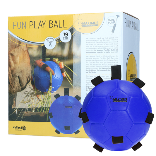 Fun Play Ball Blauw