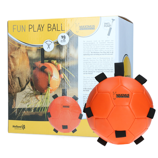 Fun Play Ball Orange