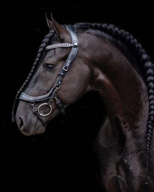 Presteq Browband Faysport Glitter Black