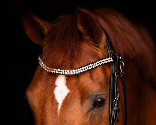 PresTeq Browband Sparkling Star Black