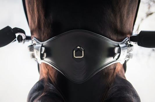 Presteq PerformFree Dressage Girth
