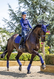 LeMieux Zadeldek Loire Classic Satin Ink Blue Dressuur