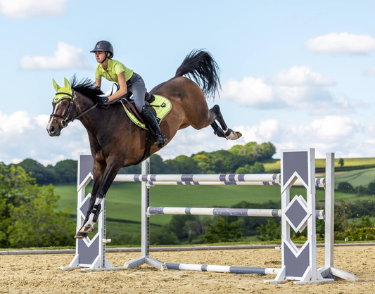 LeMieux Zadeldek Loire Classic Close Contact Square Veelzijdigheid Kiwi
