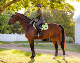 LeMieux Zadeldek Loire Classic Close Contact Square Veelzijdigheid Kiwi