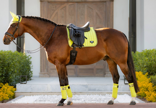 LeMieux Zadeldek Loire Classic Dressuur Square Kiwi