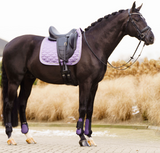 Saddle pad IRHLenny Amethyst