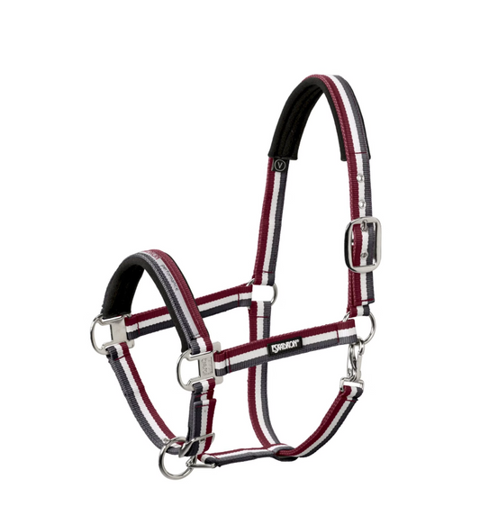 Squadron Halter Pin Buckle Grey-Cream-Red