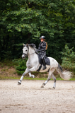 Mrs. Ros Rijlegging Silhouette Anthracite Jet Set