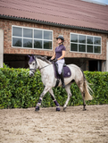 Baselayer Lavender Bay Dark Lila