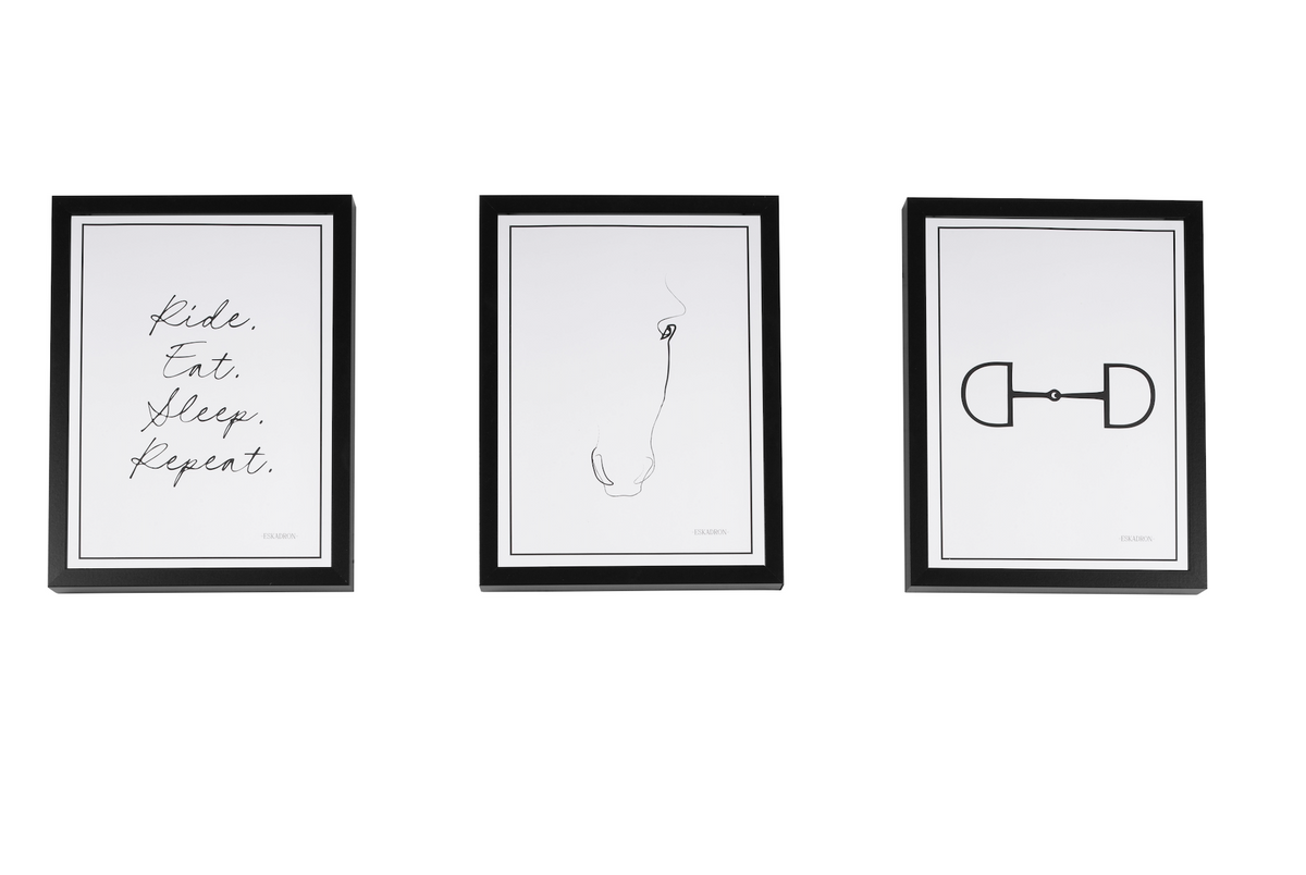 Eskadron Platinum Wanddecoratie Set