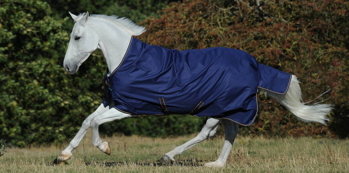 Bucas Irish Turnout 150 Blauw/Goud