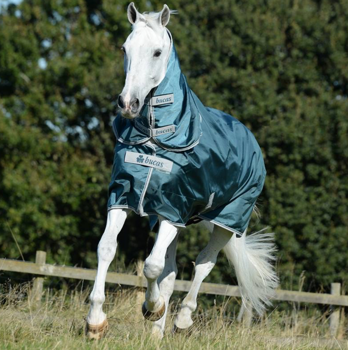 Bucas Atlantic Turnout Neck