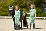 Baselayer Mini Horse Feldspar
