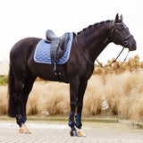 Zadeldek IRHLenny Sapphire