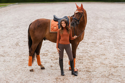 Equestrian Stockholm Saddle Roof Winter Shadow