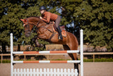 Equestrian Stockholm Zadeldek Bronze Gold