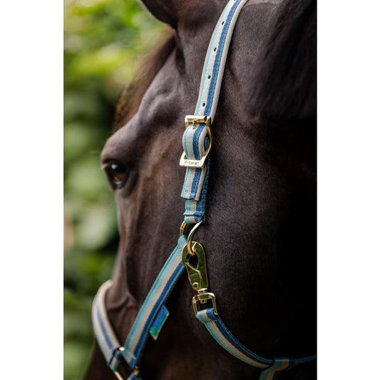 Halster Bucas Turquoise