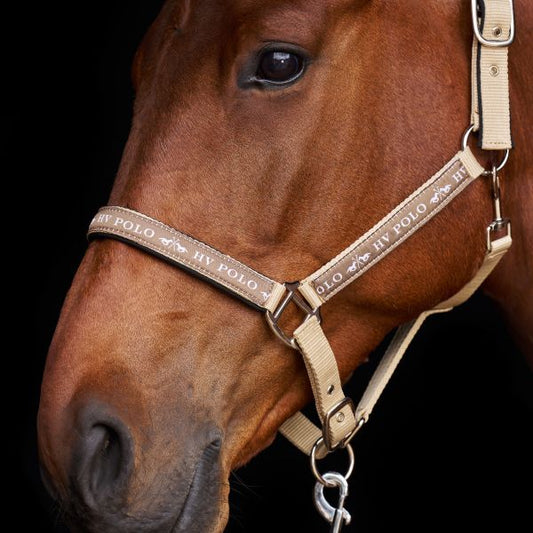 Halster HVPNena Tan