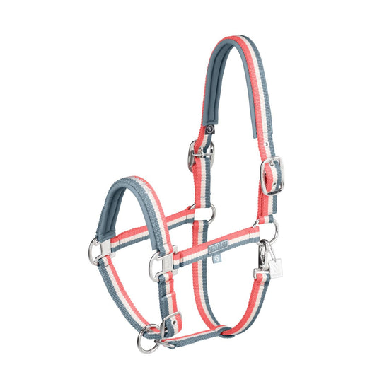 Squadron Halter Pin Buckle Grey-Cream-Red