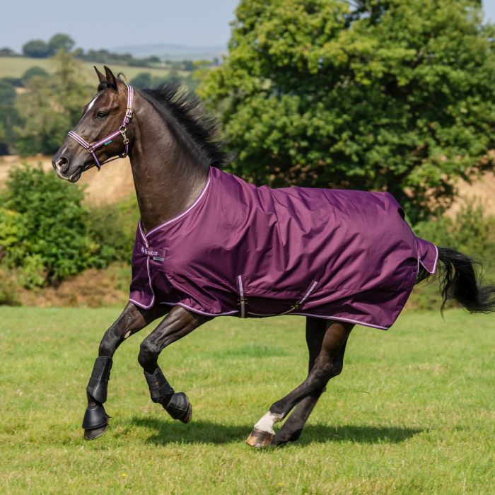 Bucas Freedom Turnout Blackberry light