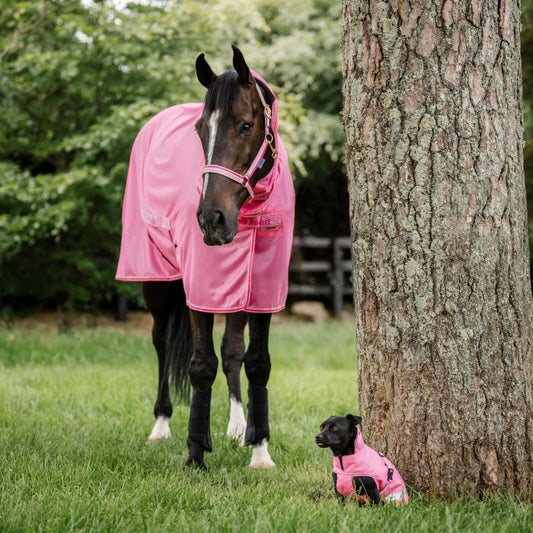 Bucas Freedom Vliegendeken Aurora Pink