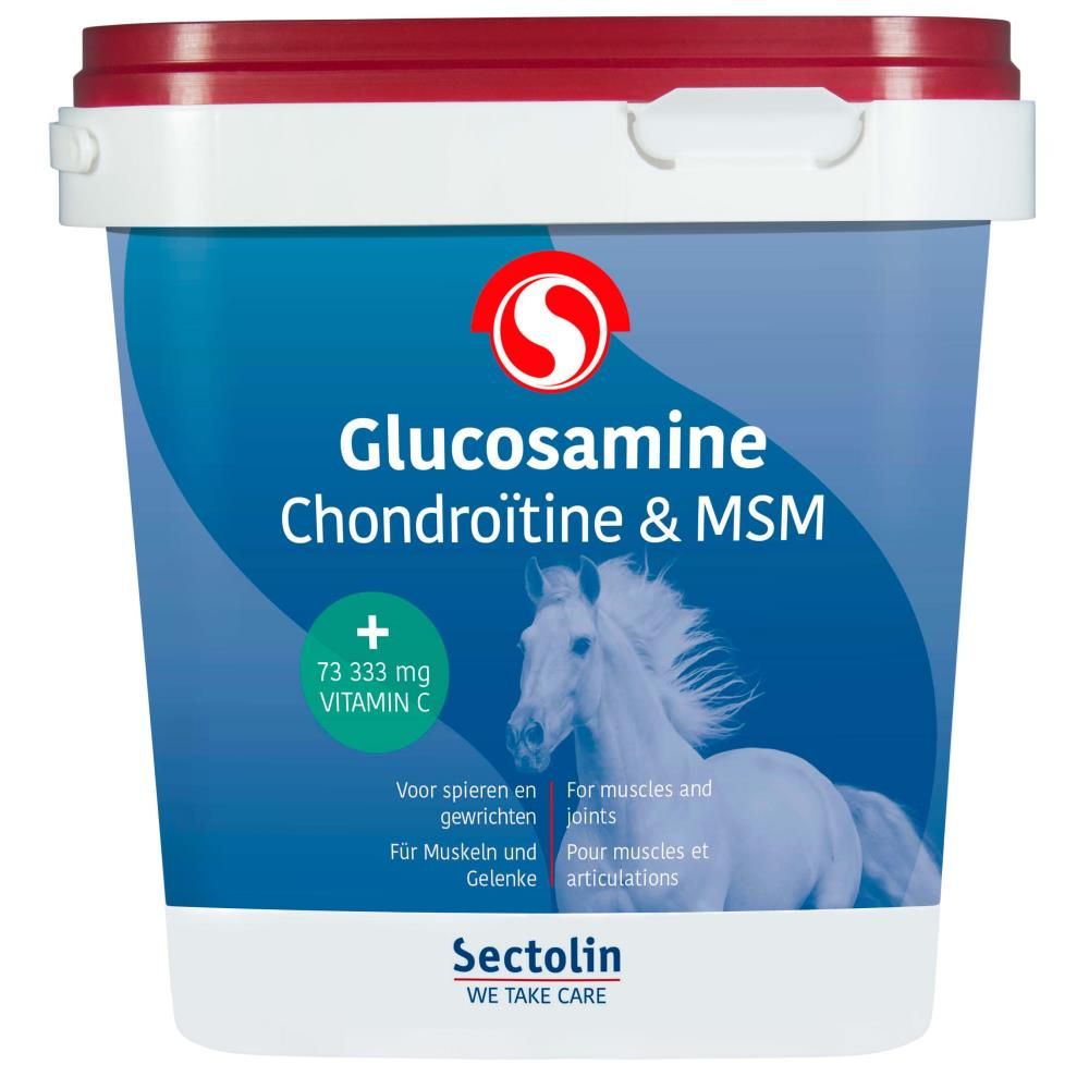 Glucosamine, Chondroïtine en MSM 1kg.