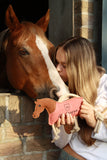 Dokihorse Paardenspeelgoed