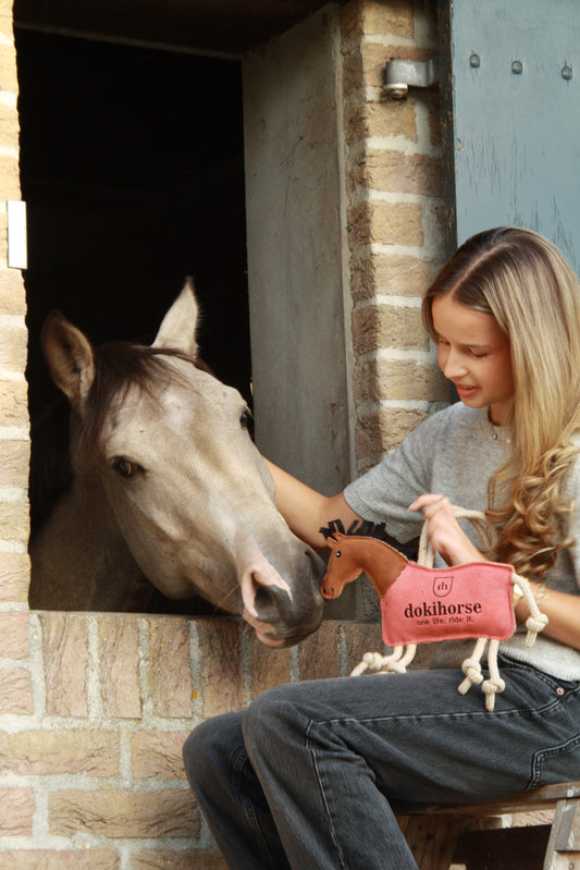 Dokihorse Paardenspeelgoed