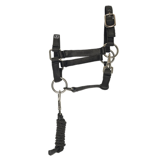Hobby Horse IRHFree Spirit Halster Zwart