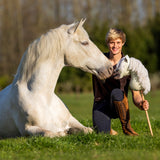 Nalanta Hobby Horse Antares