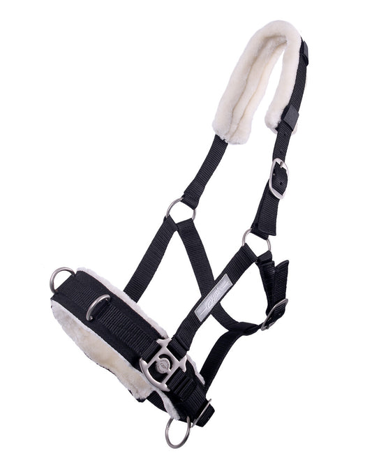 Bridle Black