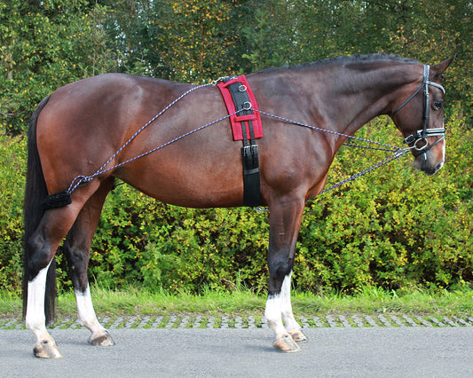 Pessoa Lunging aid reins