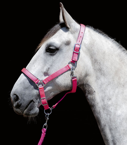 Halter Stars Softice Neon Pink