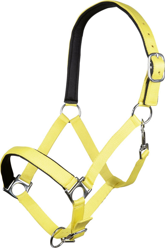 Halter Stars Softice Neon Yellow