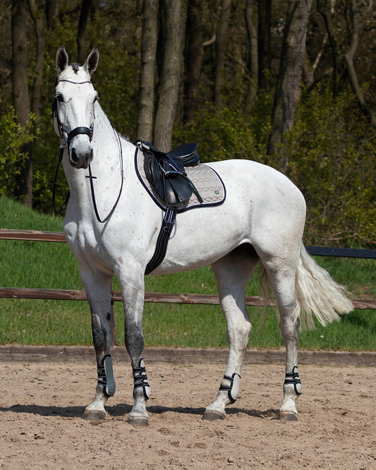 Eldorado Biscuit saddle cloth