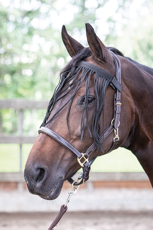Fly browband black