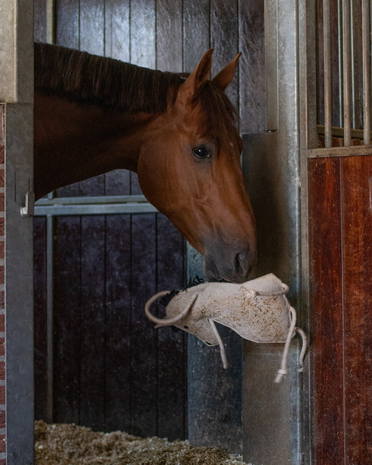 Paardenspeelgoed Paard