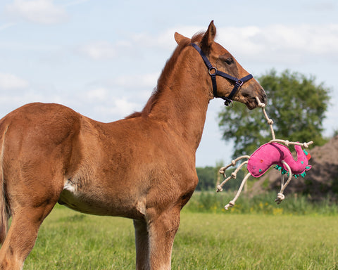 Paardenspeelgoed Unicorn