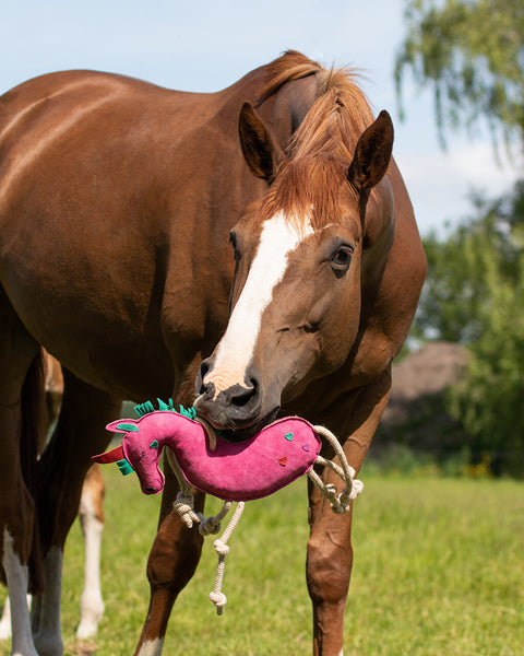 Paardenspeelgoed Unicorn