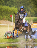 Eventing Voorbeenbeschermers Technical Royal Blue