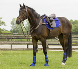 Eventing Voorbeenbeschermers Technical Royal Blue