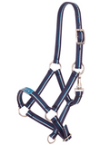 Foal Halter Fun