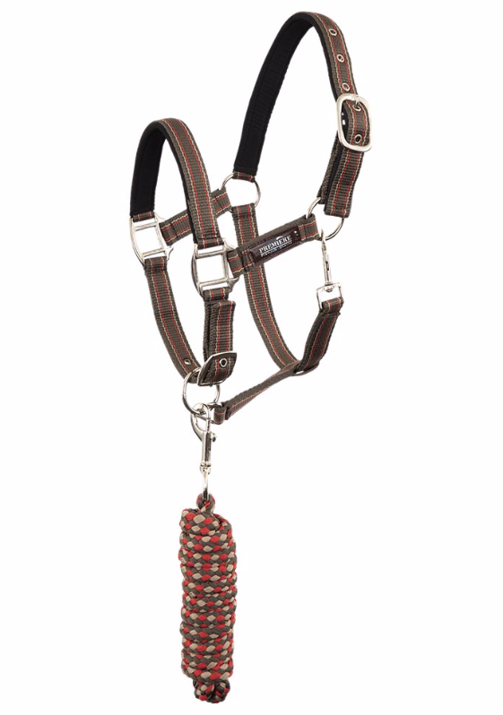 Halsterset XS Major Brown