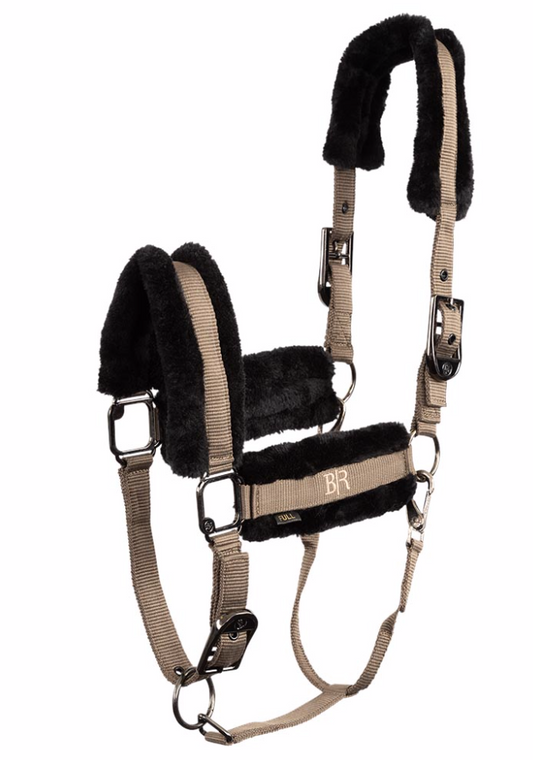 Bobby Morel Halter